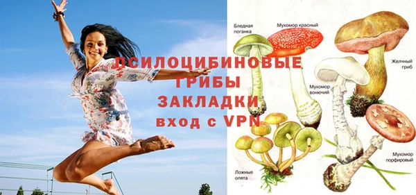 метадон Абаза