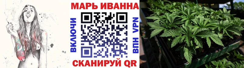 Бошки Шишки план  Инта 